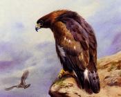 A Golden Eagle - 阿奇博尔德·索伯恩